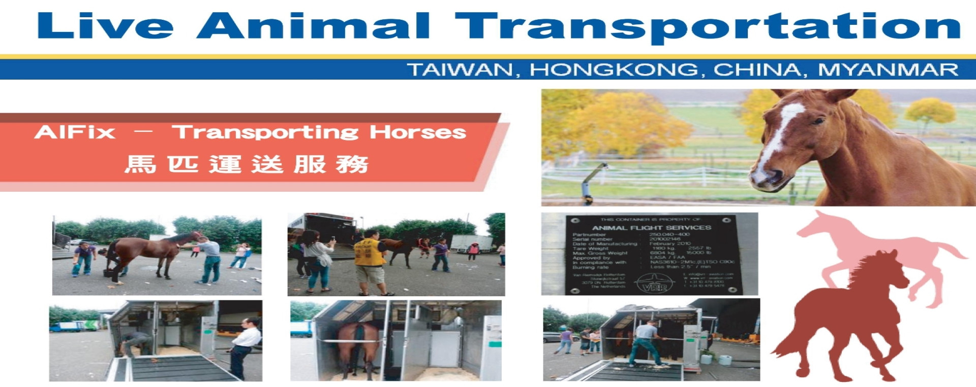 Live Animal Transportation